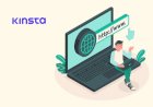 Kinsta Releases Automatic Plugin Updates to Make WordPress Updates Seamless and Secure