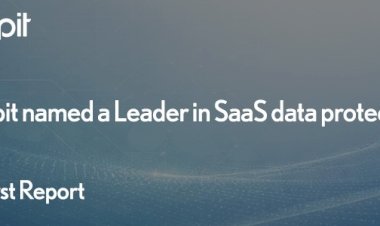 Keepit named a Leader in SaaS data protection
